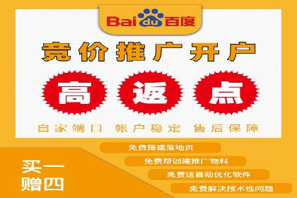 竞价排名策略案例：广告效果最大化技巧