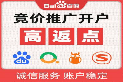 某电商平台的SEM推广实战经验